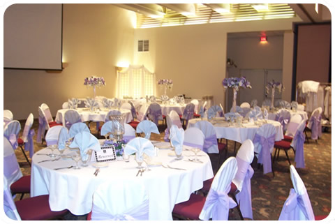 Chair Covers Rental Price 100 ea Without Sash Share